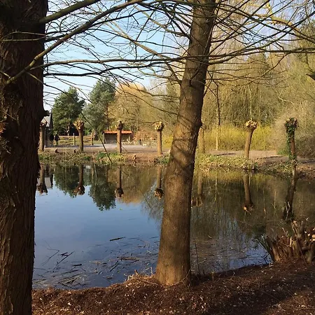 Дом отдыха Vakantiehuis De Heide *